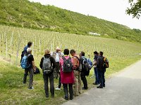 2015 Wein 173